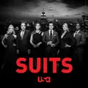 Suits: The Complete Series watch, hd download