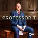 Professor T, Season 1 cast, spoilers, episodes and reviews