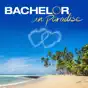 Bachelor in Paradise, Season 7