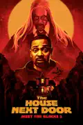 The House Next Door: Meet the Blacks 2 summary, synopsis, reviews