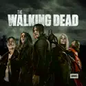 Variant - The Walking Dead from The Walking Dead, Season 11