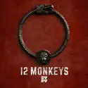 12 Monkeys, Season 4 watch, hd download