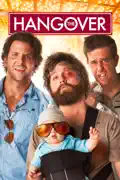 The Hangover summary, synopsis, reviews