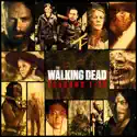 The Walking Dead, Seasons 1-10 watch, hd download