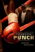 Phantom Punch summary, synopsis, reviews
