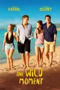 One Wild Moment summary, synopsis, reviews