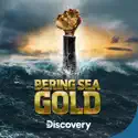Bering Sea Gold, Season 13 watch, hd download