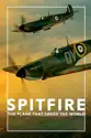 SPITFIRE: The Plane That Saved the World summary and reviews