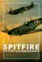 SPITFIRE: The Plane That Saved the World