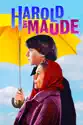 Harold and Maude summary and reviews