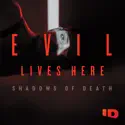 Evil Lives Here: Shadows of Death, Season 2 watch, hd download