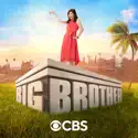 Big Brother, Season 23 cast, spoilers, episodes, reviews