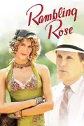 Rambling Rose summary, synopsis, reviews