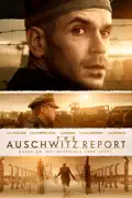 The Auschwitz Report summary, synopsis, reviews