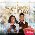 A Picture Perfect Holiday release date, synopsis, reviews