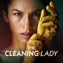 The Cleaning Lady, Season 1 watch, hd download