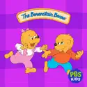 The Berenstain Bears, Vol. 1 cast, spoilers, episodes and reviews