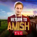 Return to Amish, Season 7 watch, hd download