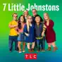 7 Little Johnstons, Season 11