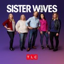 Four Wives, Three Fires - Sister Wives from Sister Wives, Season 16
