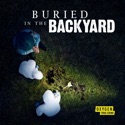 Buried in the Backyard, Season 4 reviews, watch and download