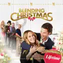 Blending Christmas cast, spoilers, episodes and reviews