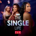 90 Day: The Single Life, Season 4 release date, synopsis and reviews