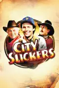 City Slickers summary, synopsis, reviews