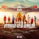 Star Trek: Strange New Worlds, Season 1 release date, synopsis and reviews