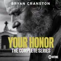 Your Honor, Season 1-2 cast, spoilers, episodes and reviews