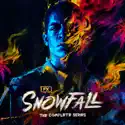 Snowfall, The Complete Series watch, hd download