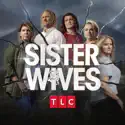 Can't See the Forest - Sister Wives from Sister Wives, Season 18