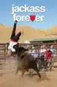 Jackass Forever summary and reviews