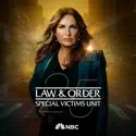 Law & Order: Special Victims Unit, Season 25 reviews, watch and download