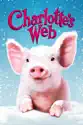 Charlotte's Web summary and reviews