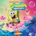 SpongeBob SquarePants, Season 14 watch, hd download