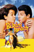 Bikini Beach summary, synopsis, reviews