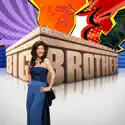 Big Brother, Season 25 reviews, watch and download