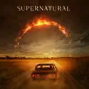 Supernatural: The Complete Series cast, spoilers, episodes, reviews
