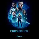 Chicago PD, Season 10 cast, spoilers, episodes, reviews