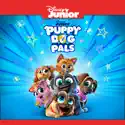 Puppy Dog Pals, Vol. 8 cast, spoilers, episodes, reviews