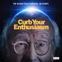 What Have I Done? - Curb Your Enthusiasm, Season 11 episode 8 spoilers, recap and reviews