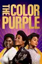 The Color Purple summary and reviews