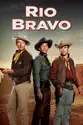 Rio Bravo summary and reviews