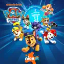Pups Stop a Gold Finding Machine / Pups Help Mayor Humdinger Out of a Jam - PAW Patrol from PAW Patrol, Vol. 19