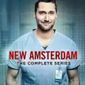 New Amsterdam, The Complete Series cast, spoilers, episodes, reviews