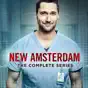 New Amsterdam, The Complete Series