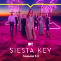 Siesta Key, Seasons 1 - 5 cast, spoilers, episodes, reviews