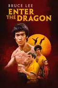 Enter the Dragon summary, synopsis, reviews