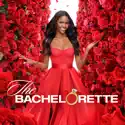 The Bachelorette, Season 20 cast, spoilers, episodes and reviews
